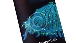 Creatures of The Ocean